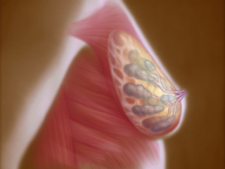 Image Four
